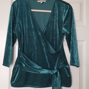 EXPRESS Stunning Velour Blouse